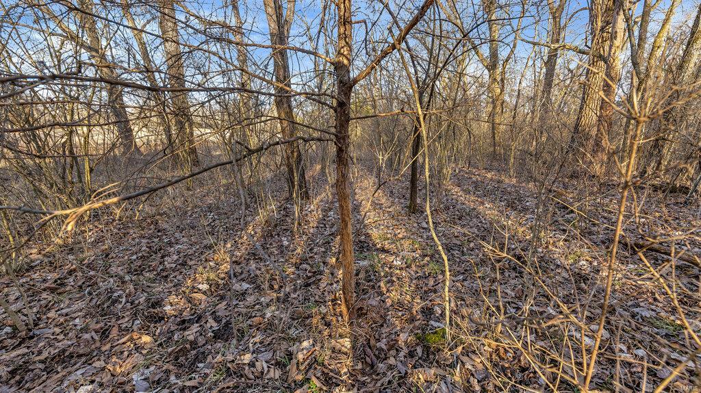 0 Hwy Mm Property Photo 6