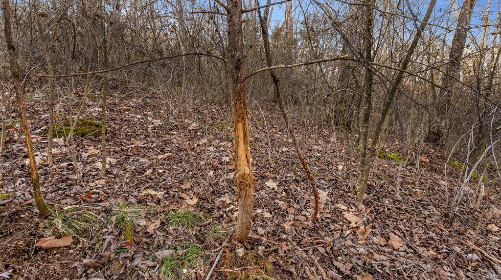 0 Hwy Mm Property Photo 11
