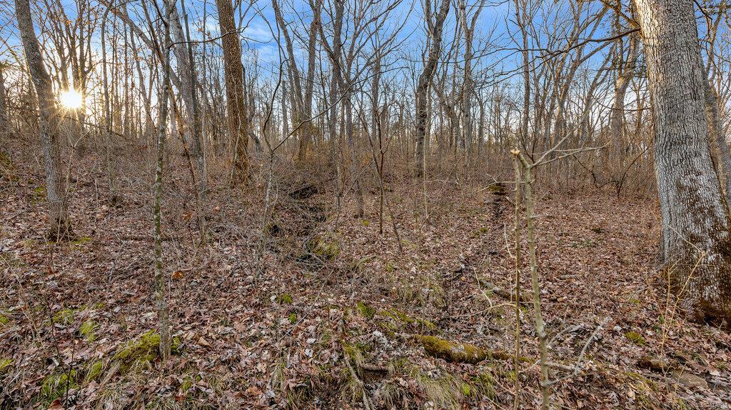 0 Hwy Mm Property Photo 12