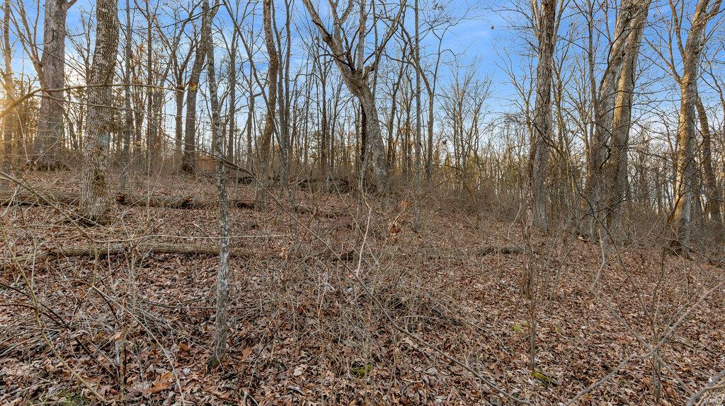 0 Hwy Mm Property Photo 15