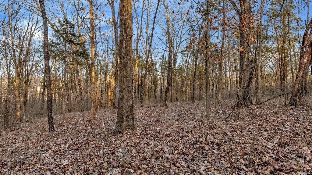 0 Hwy Mm Property Photo 18