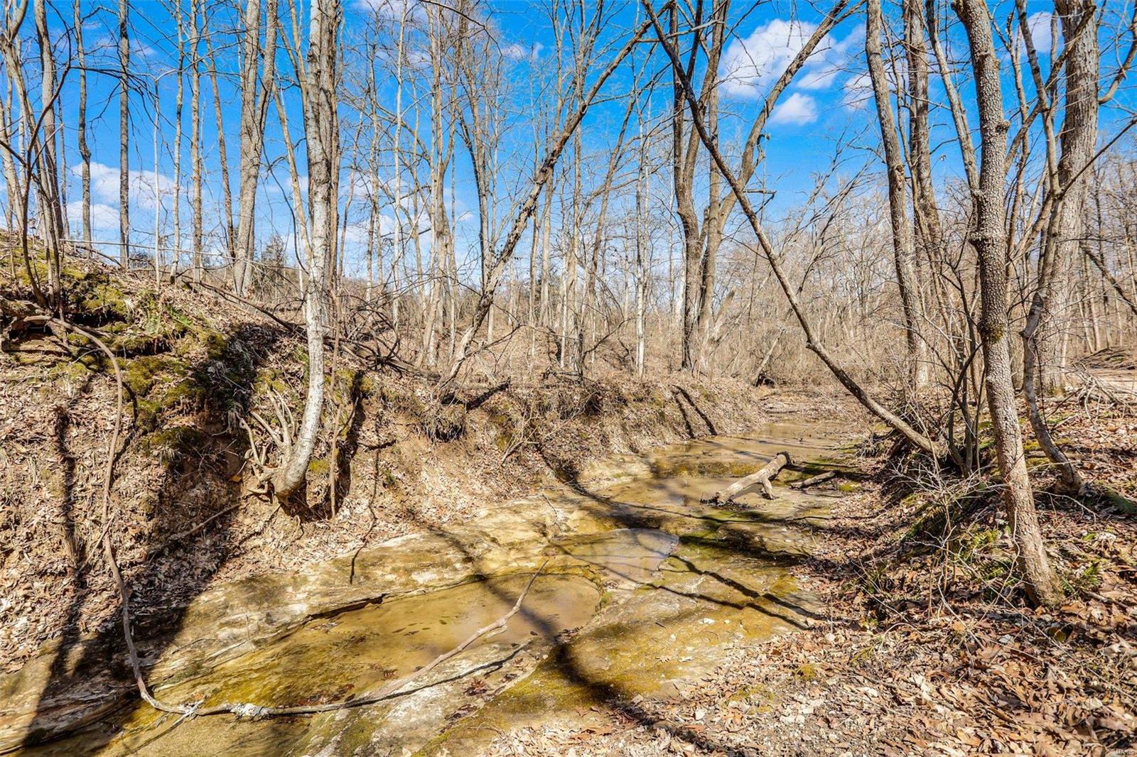 178 Whitetail Crossing Trail Property Photo 34