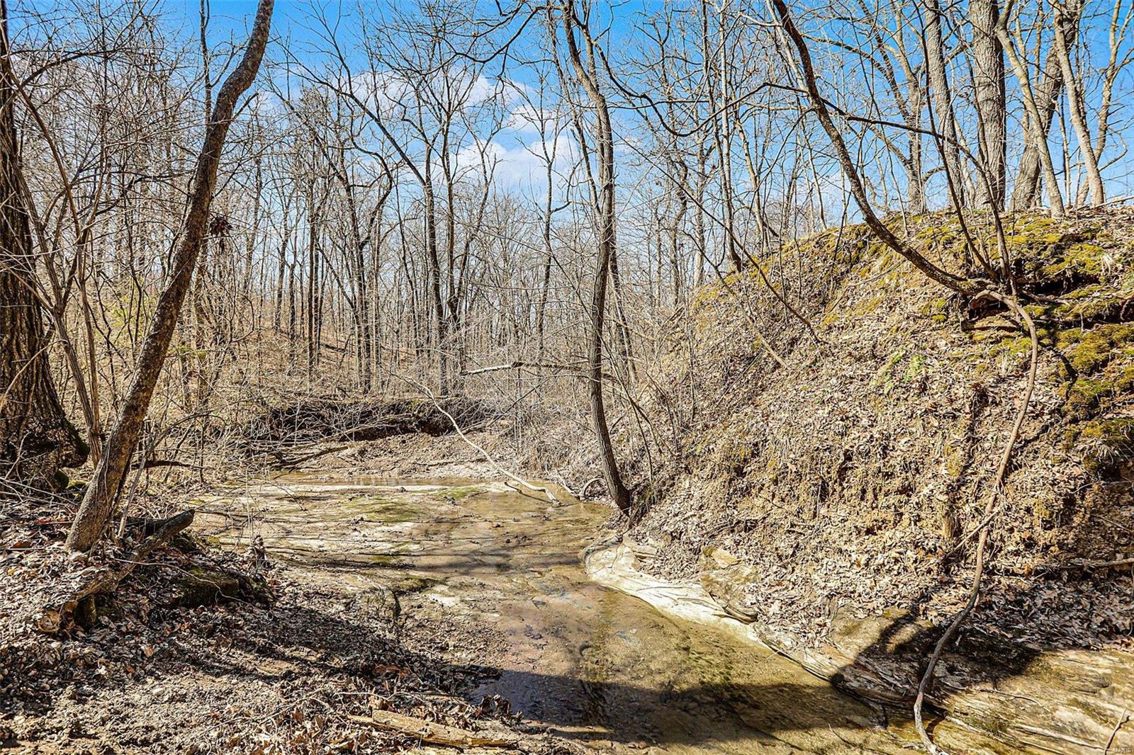 178 Whitetail Crossing Trail Property Photo 35