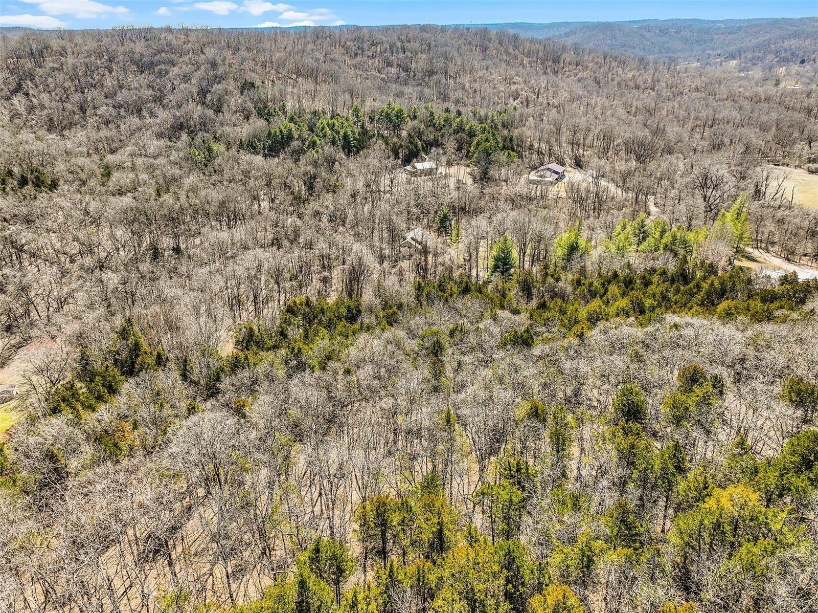 178 Whitetail Crossing Trail Property Photo 38