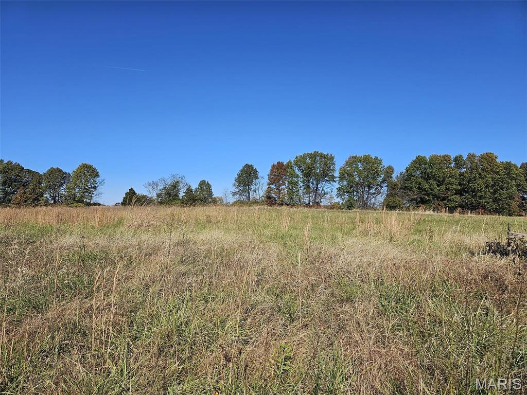 133 Spoonbill Lane Property Photo 1