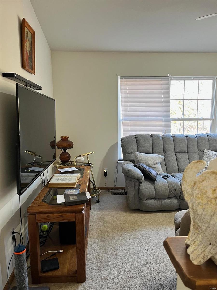 424 Briarwood Drive Property Photo 30