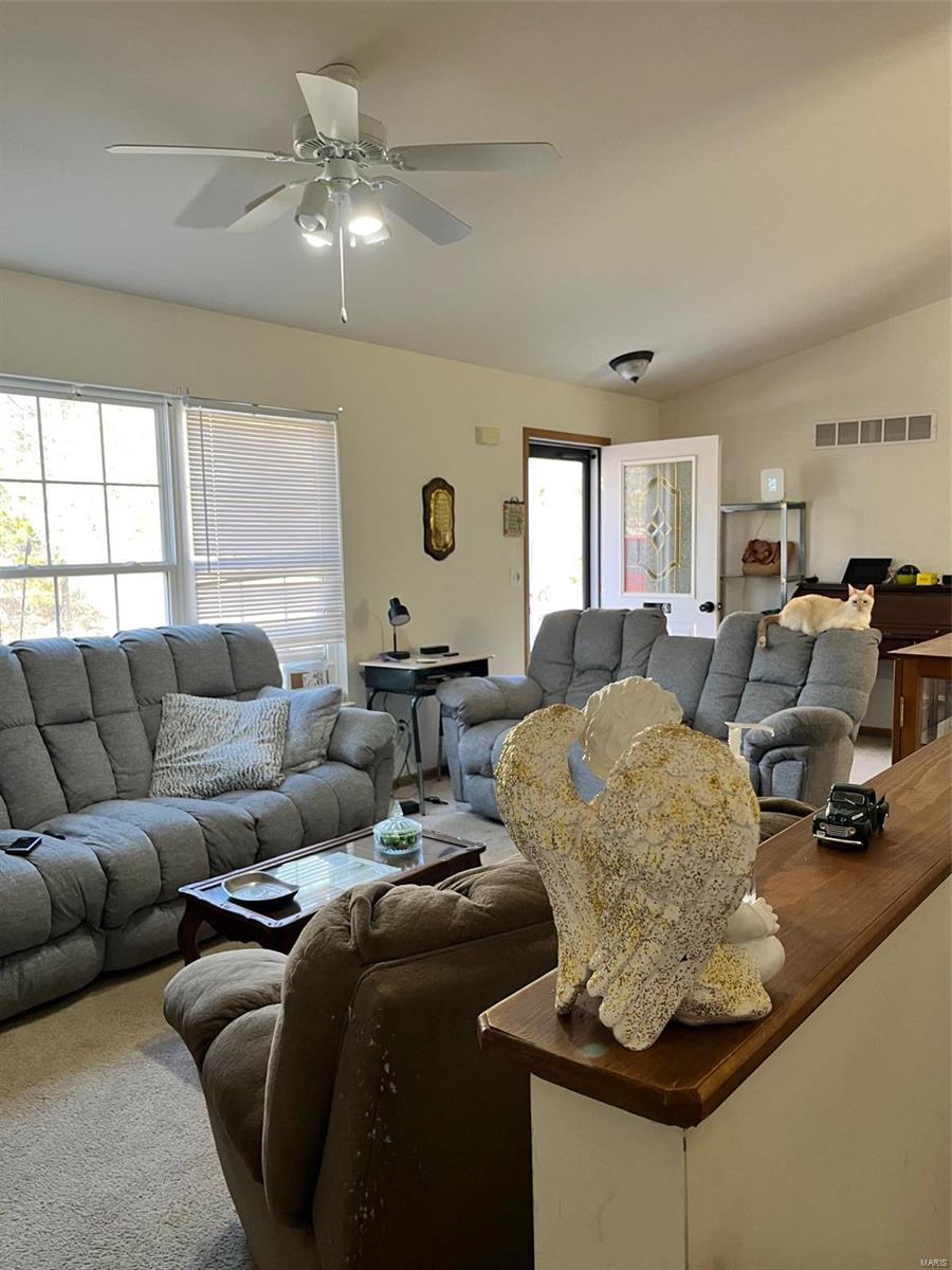 424 Briarwood Drive Property Photo 31