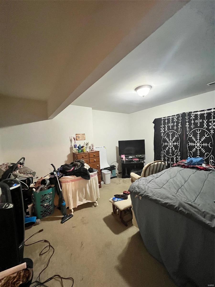 424 Briarwood Drive Property Photo 57