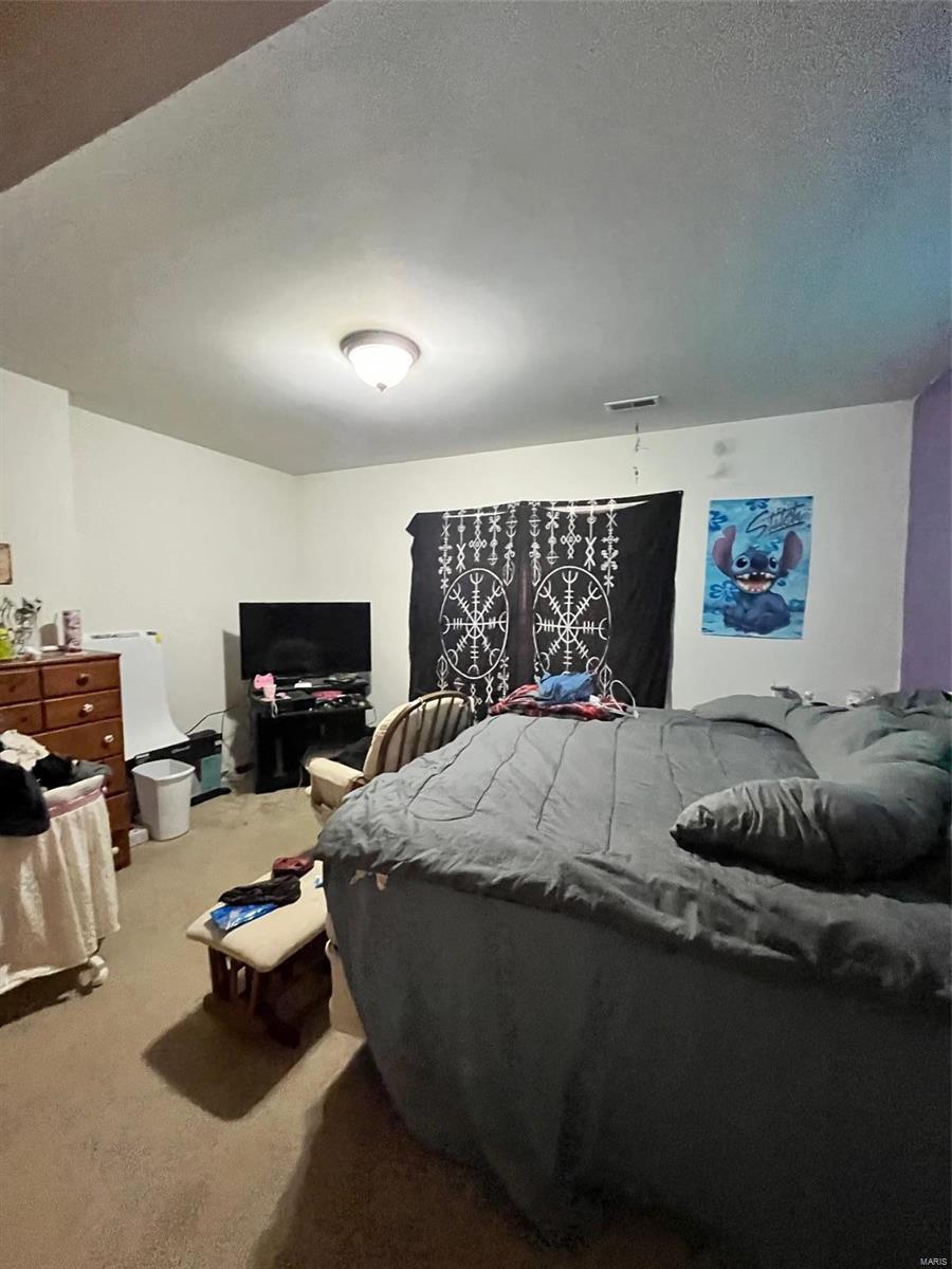 424 Briarwood Drive Property Photo 59