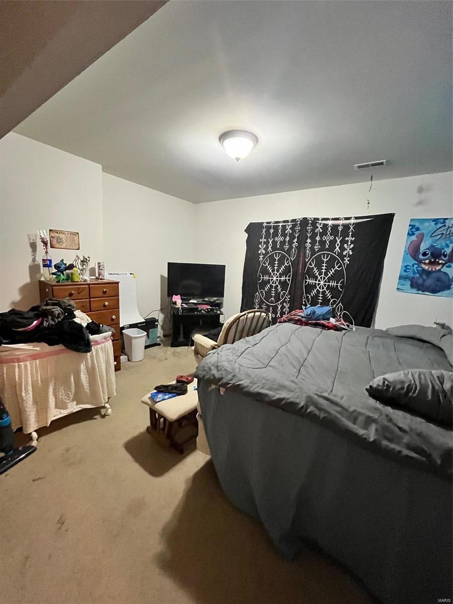 424 Briarwood Drive Property Photo 60