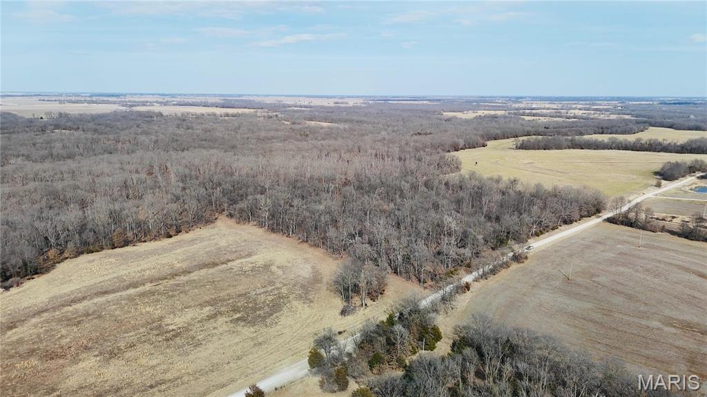 0 41.9 Acres, County Rd 744 Property Photo 4