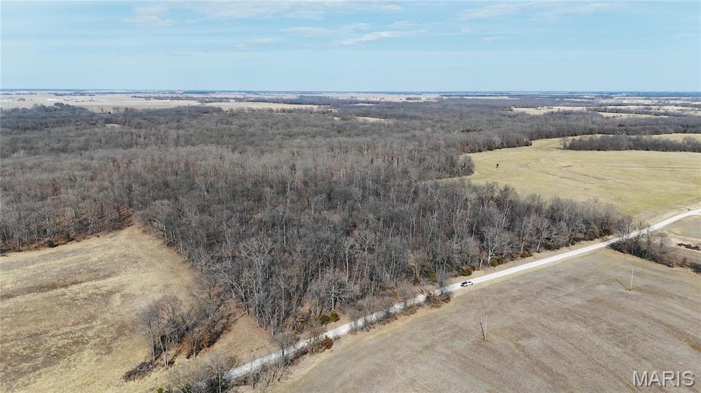 0 41.9 Acres, County Rd 744 Property Photo 5