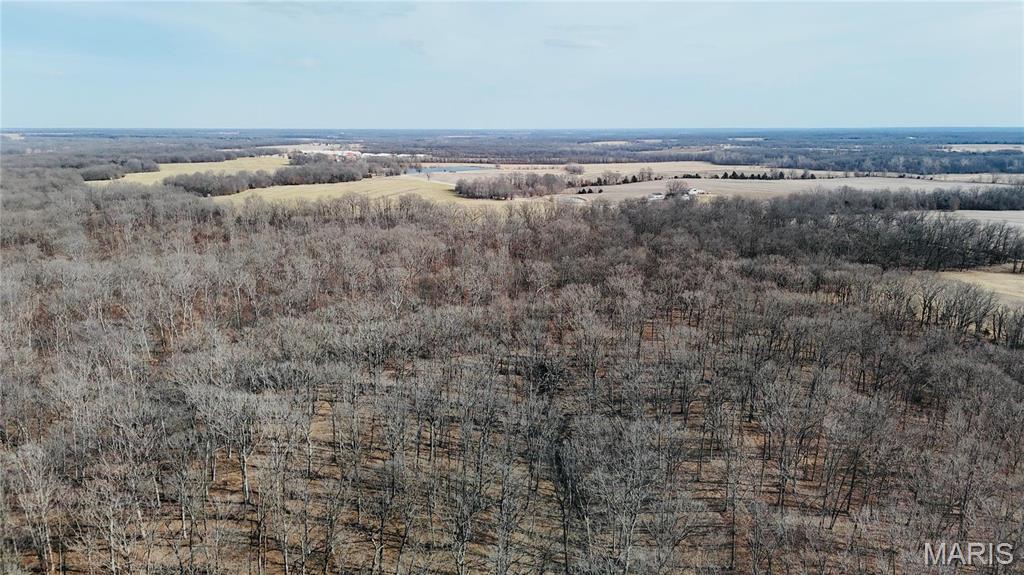 0 41.9 Acres, County Rd 744 Property Photo 7