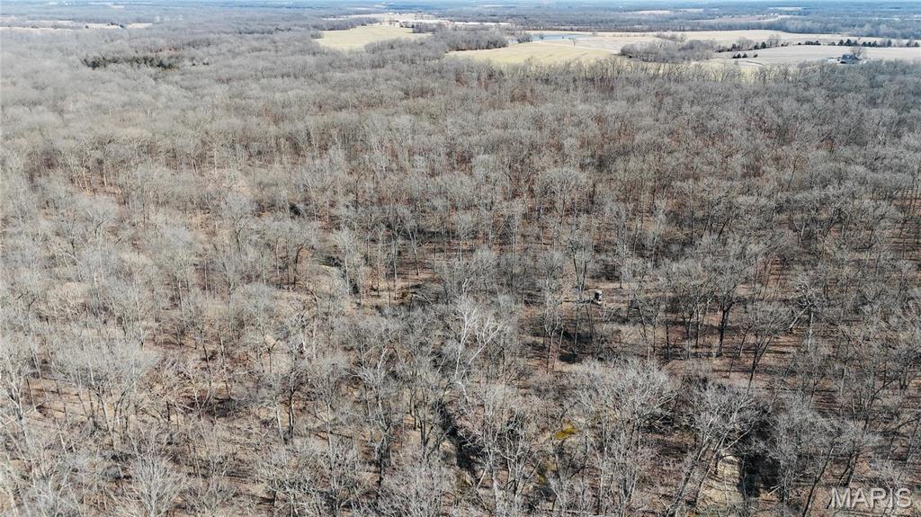 0 41.9 Acres, County Rd 744 Property Photo 8