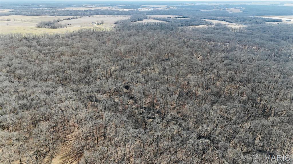 0 41.9 Acres, County Rd 744 Property Photo 10