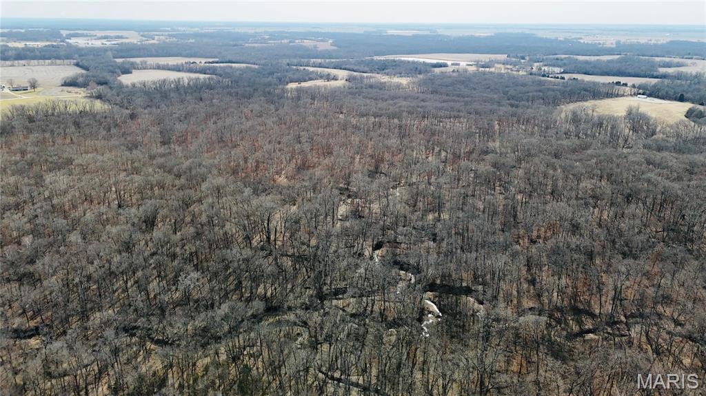 0 41.9 Acres, County Rd 744 Property Photo 11
