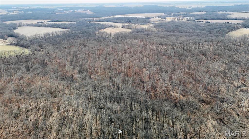 0 41.9 Acres, County Rd 744 Property Photo 13