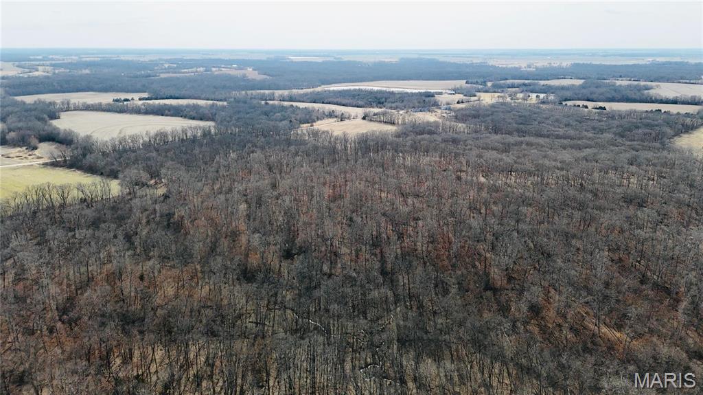 0 41.9 Acres, County Rd 744 Property Photo 14