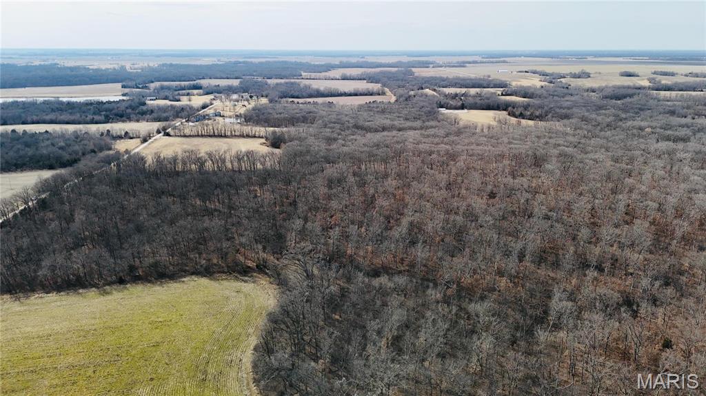 0 41.9 Acres, County Rd 744 Property Photo 15