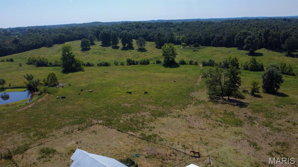 1988 Ripley Route Cc Property Photo 10
