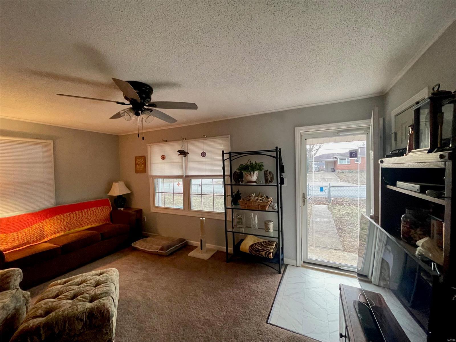 407 Southwood Avenue Property Photo 37