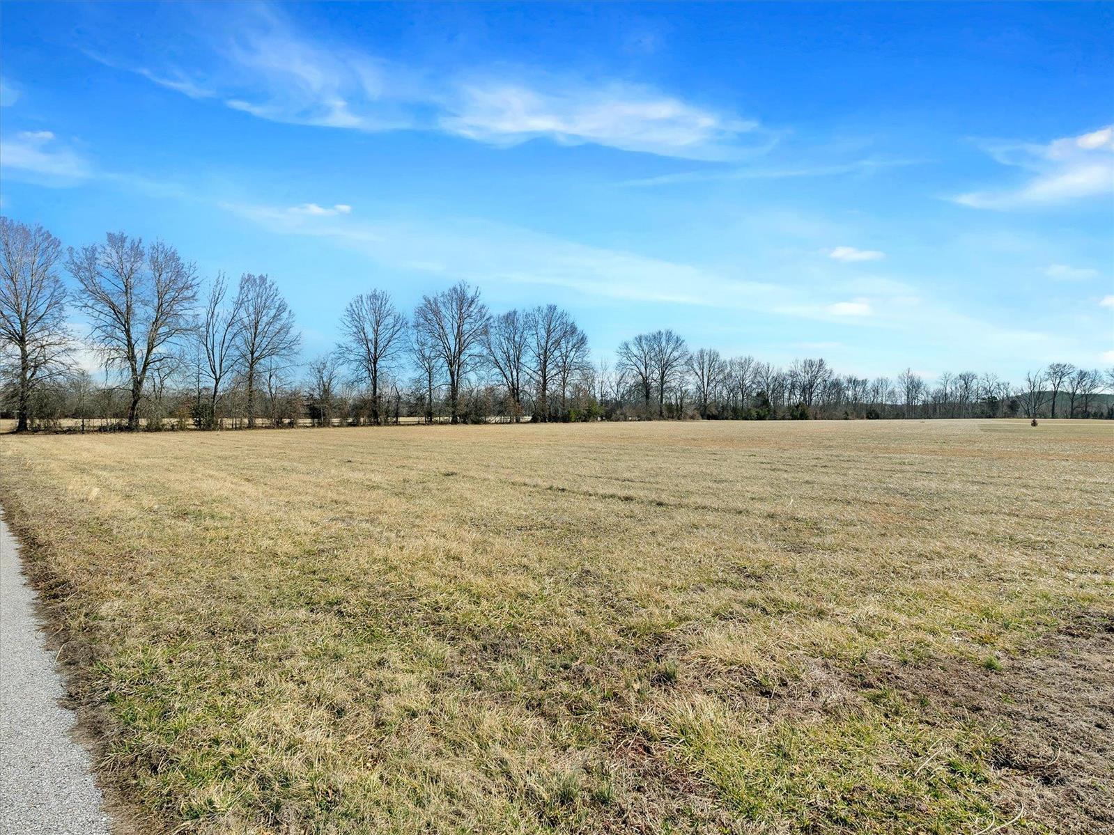 8518 Sagamore Drive Property Photo 4