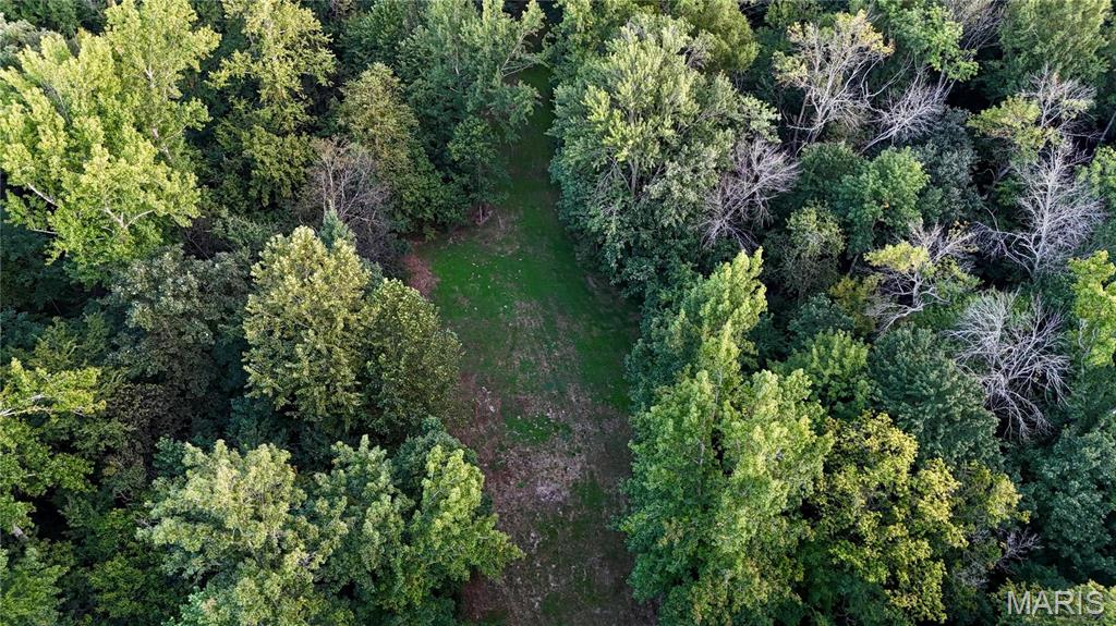 0 County Road 651 Property Photo 10