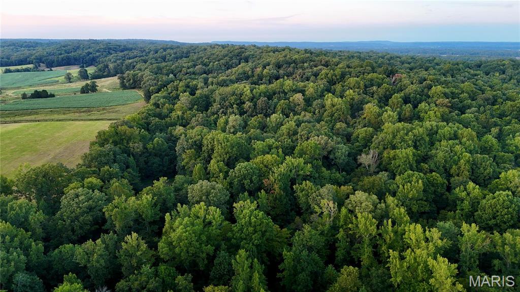 0 County Road 651 Property Photo 23