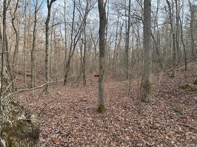 0 Private Rd. 9516 Property Photo 5