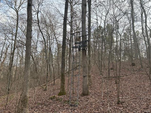 0 Private Rd. 9516 Property Photo 6