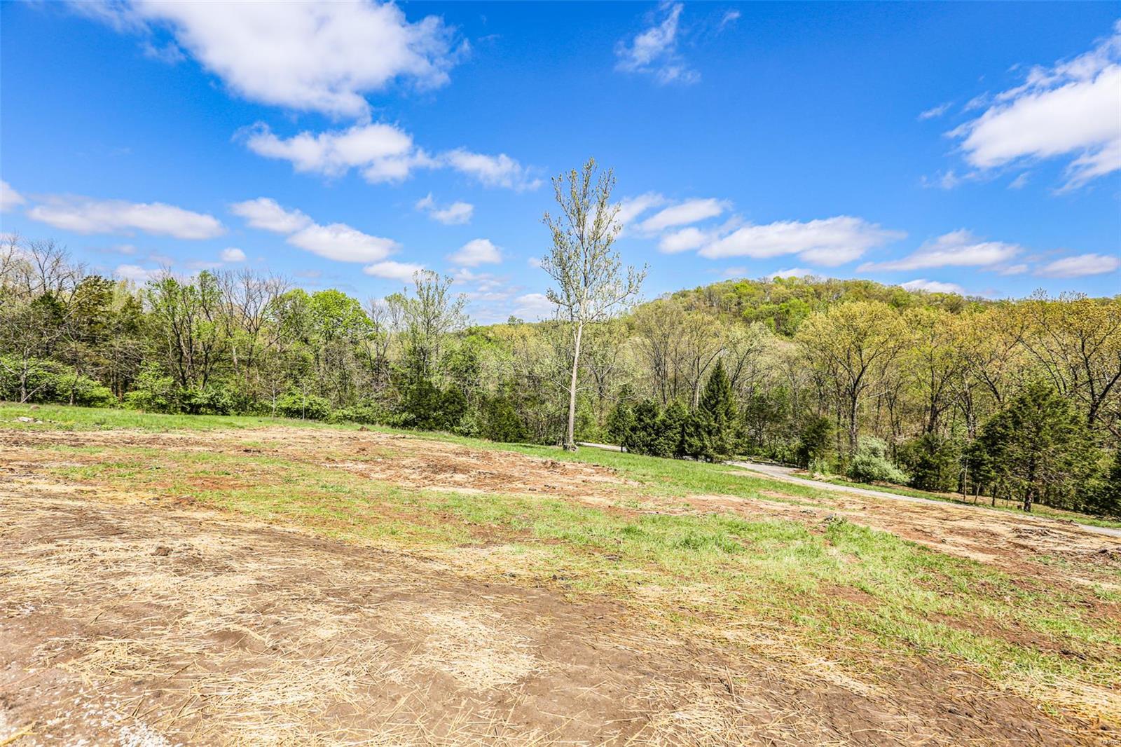 165 Tall Oaks Drive Property Photo 71