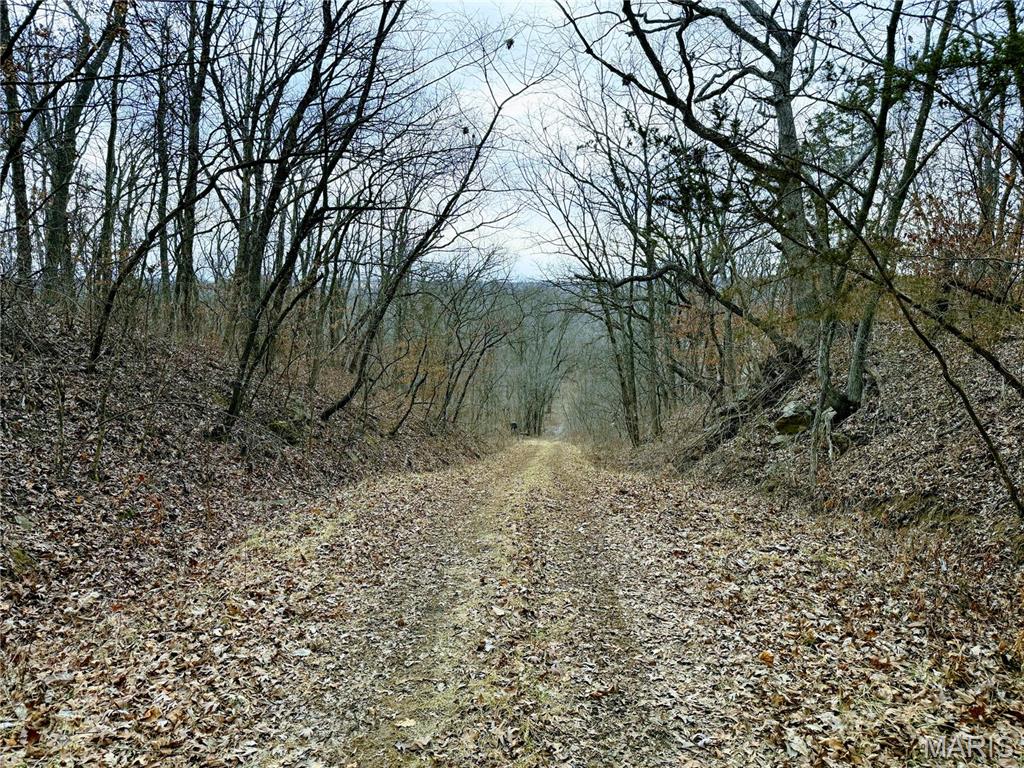 20731 Thousand Hills Trail Property Photo 45