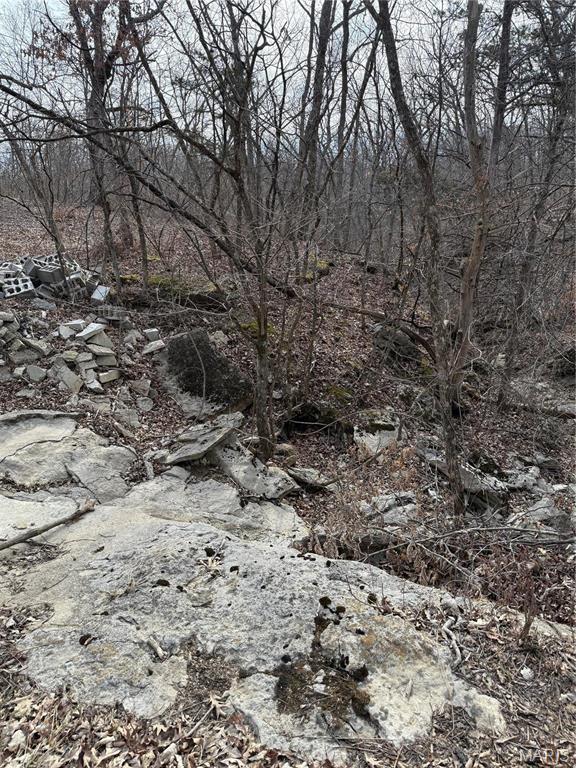 20731 Thousand Hills Trail Property Photo 46