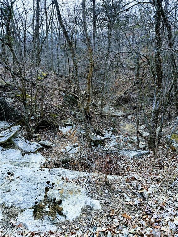 20731 Thousand Hills Trail Property Photo 47