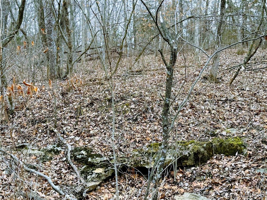 20731 Thousand Hills Trail Property Photo 48