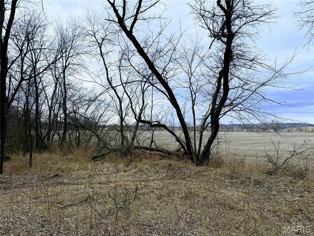 20731 Thousand Hills Trail Property Photo 51