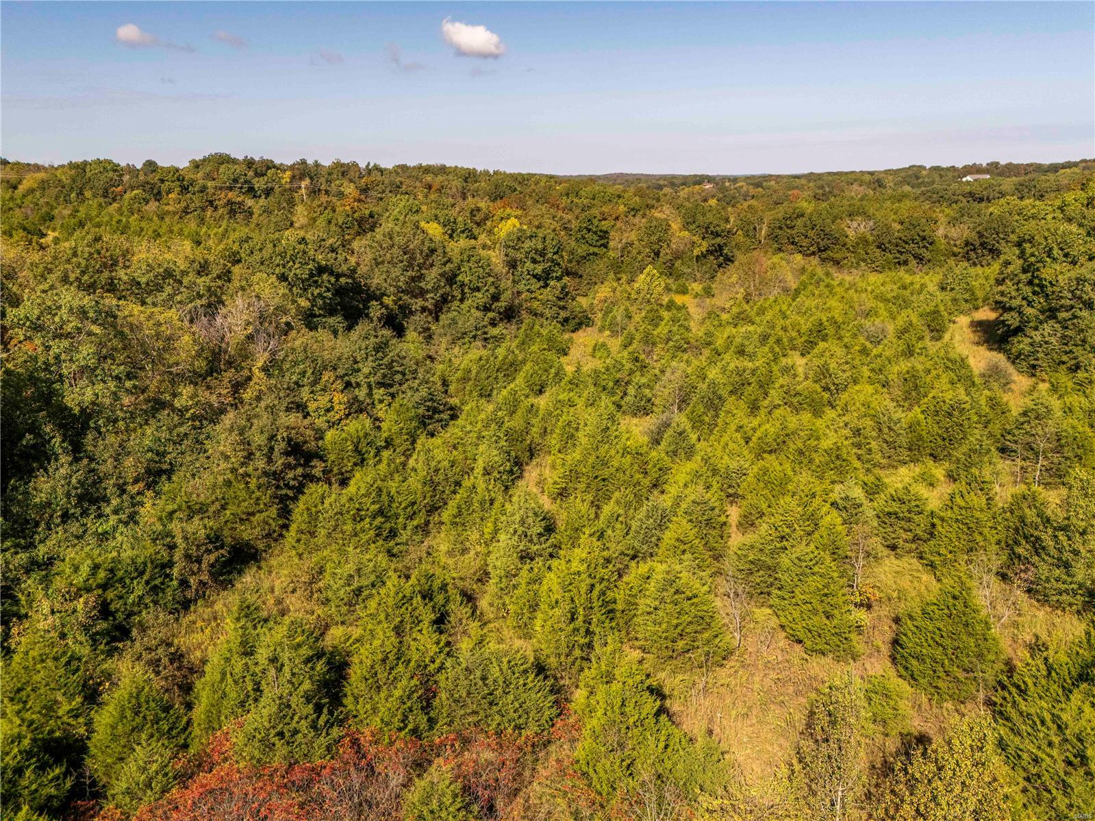 0 Lot 13 Hamilton Creek Drive Property Photo 3
