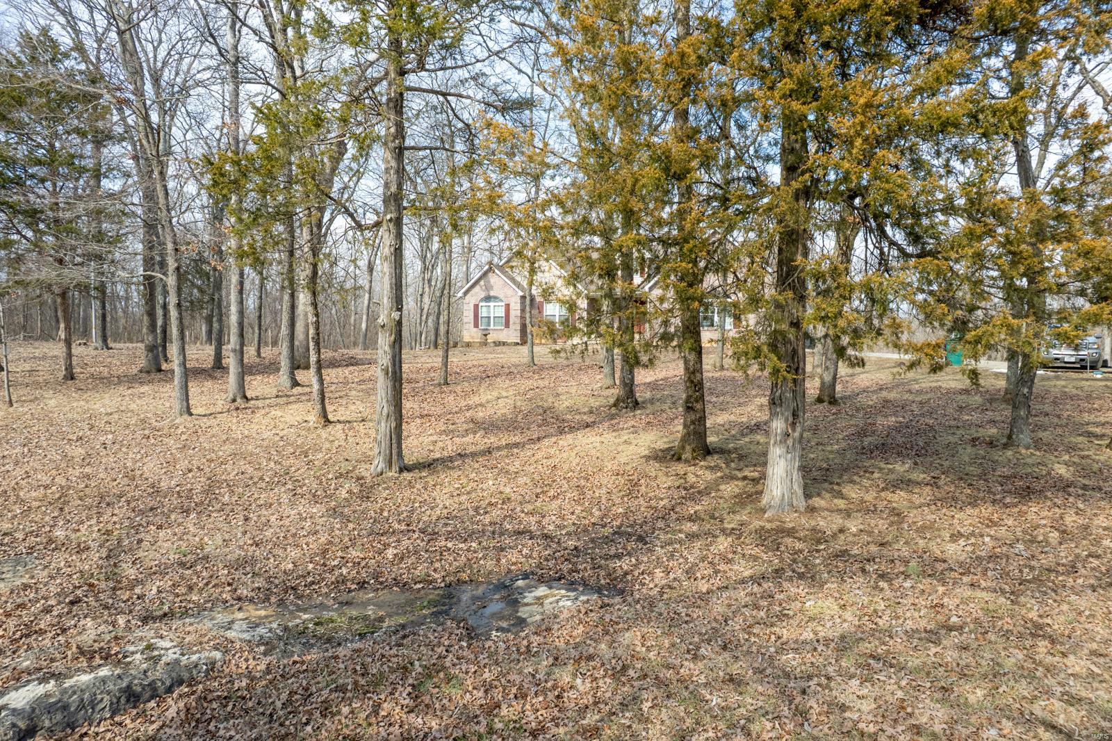 9911 State Route C Property Photo 67