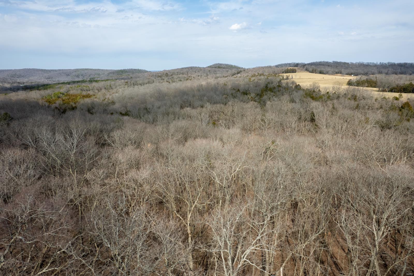 9911 State Route C Property Photo 69