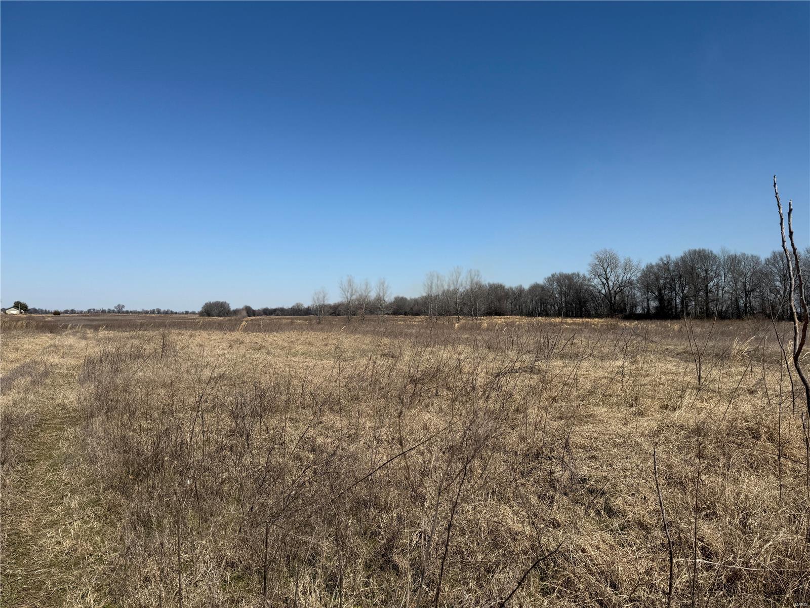 0 County 442 Road Property Photo 8