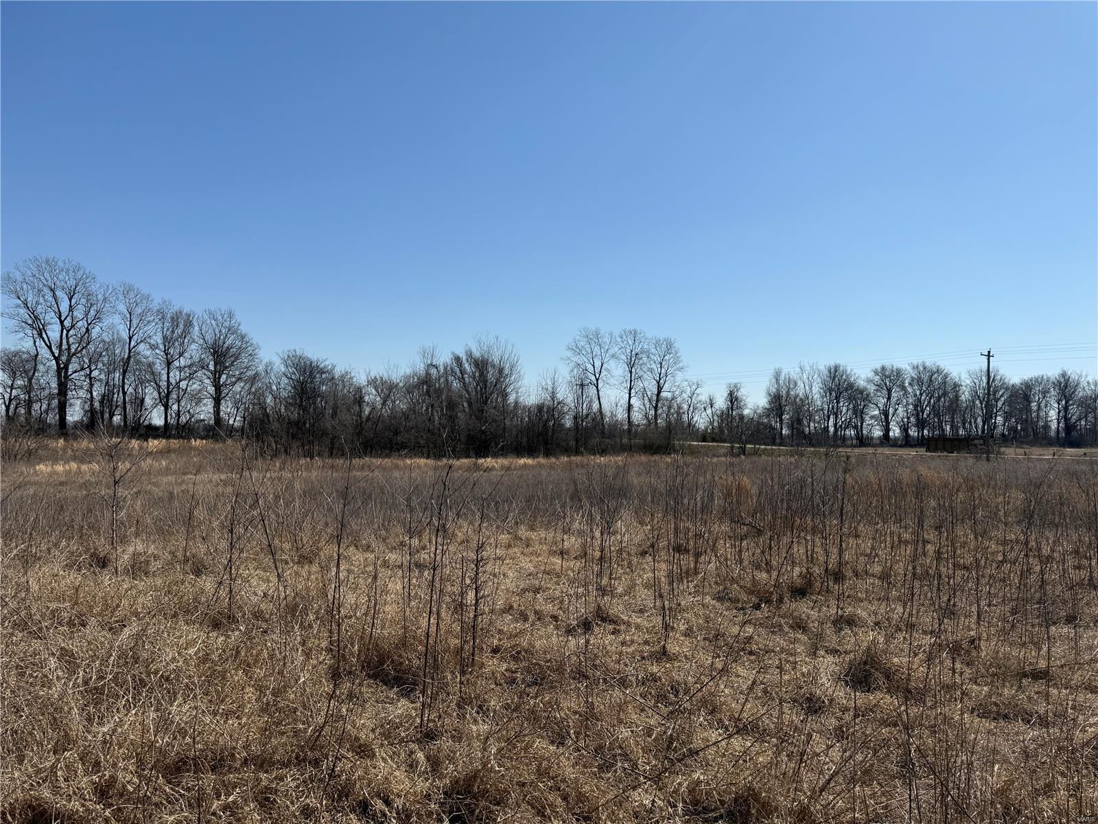 0 County 442 Road Property Photo 12