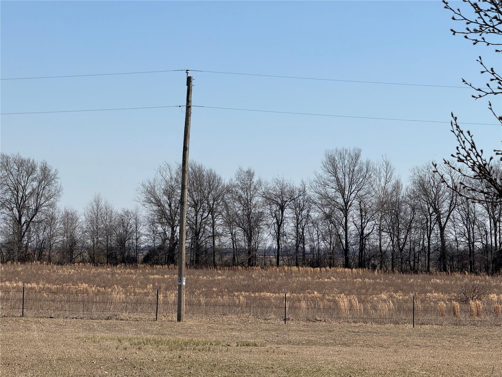 0 County 442 Road Property Photo 15