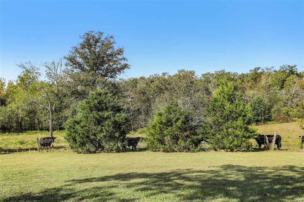 6485 Evergreen Loop Property Photo 12