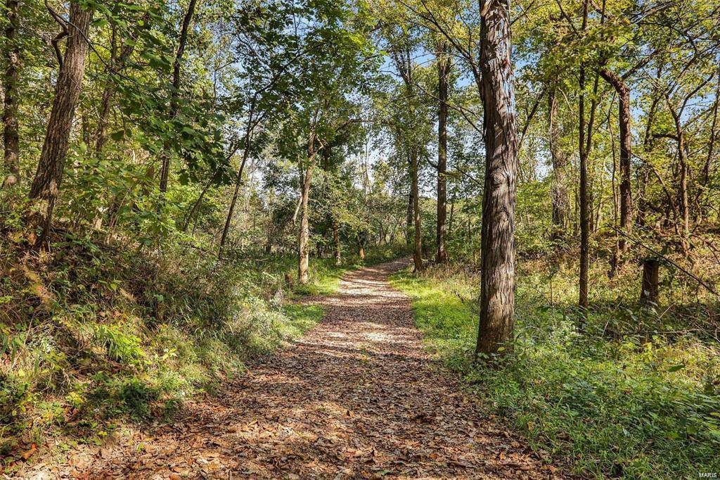 6485 Evergreen Loop Property Photo 19