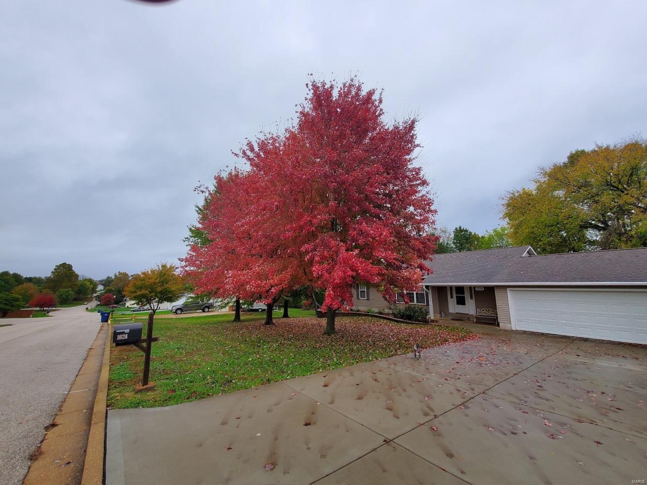 1624 Yesterday Way Property Photo 6