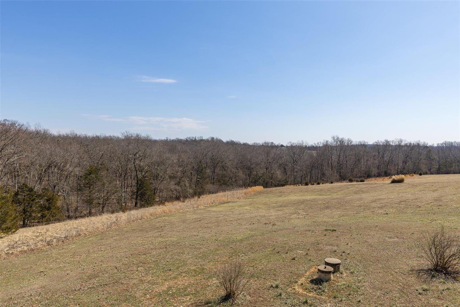 13060 Orchard Park Lane Property Photo 8