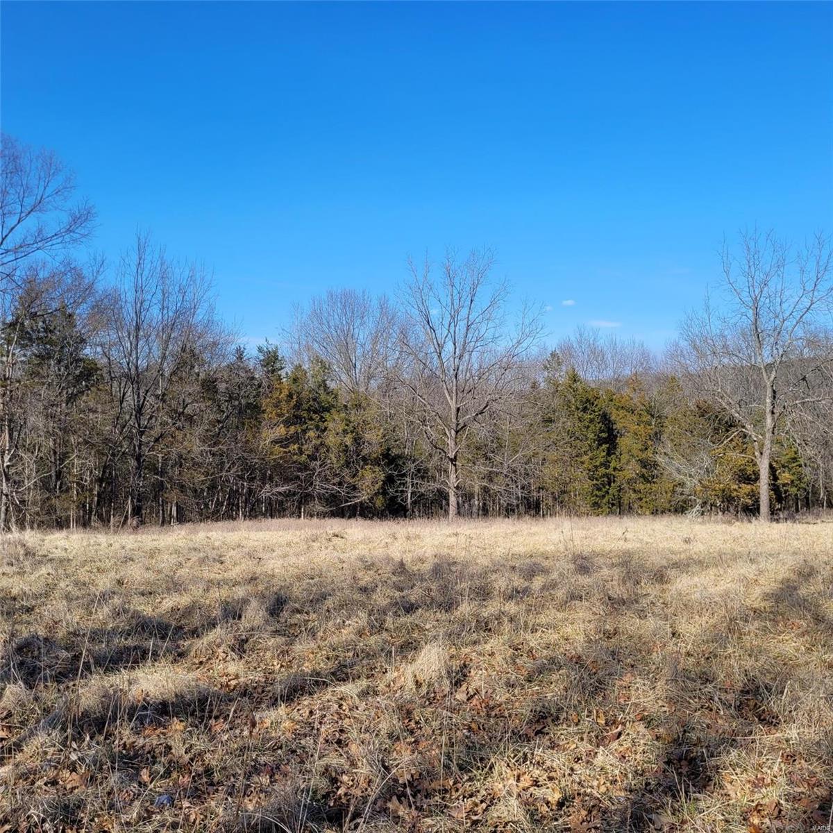 10 Shenandoah Lane Property Photo 7