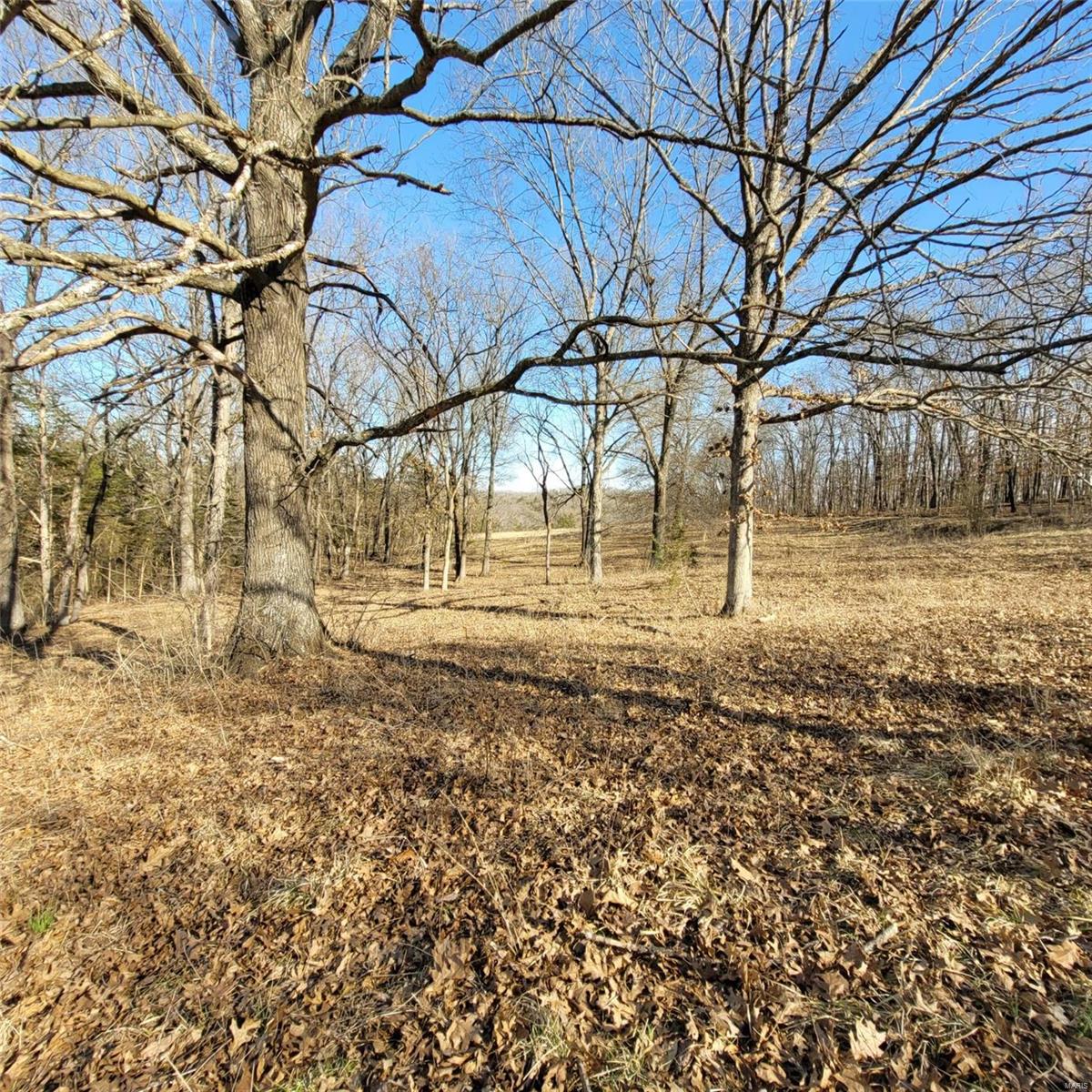 10 Shenandoah Lane Property Photo 8