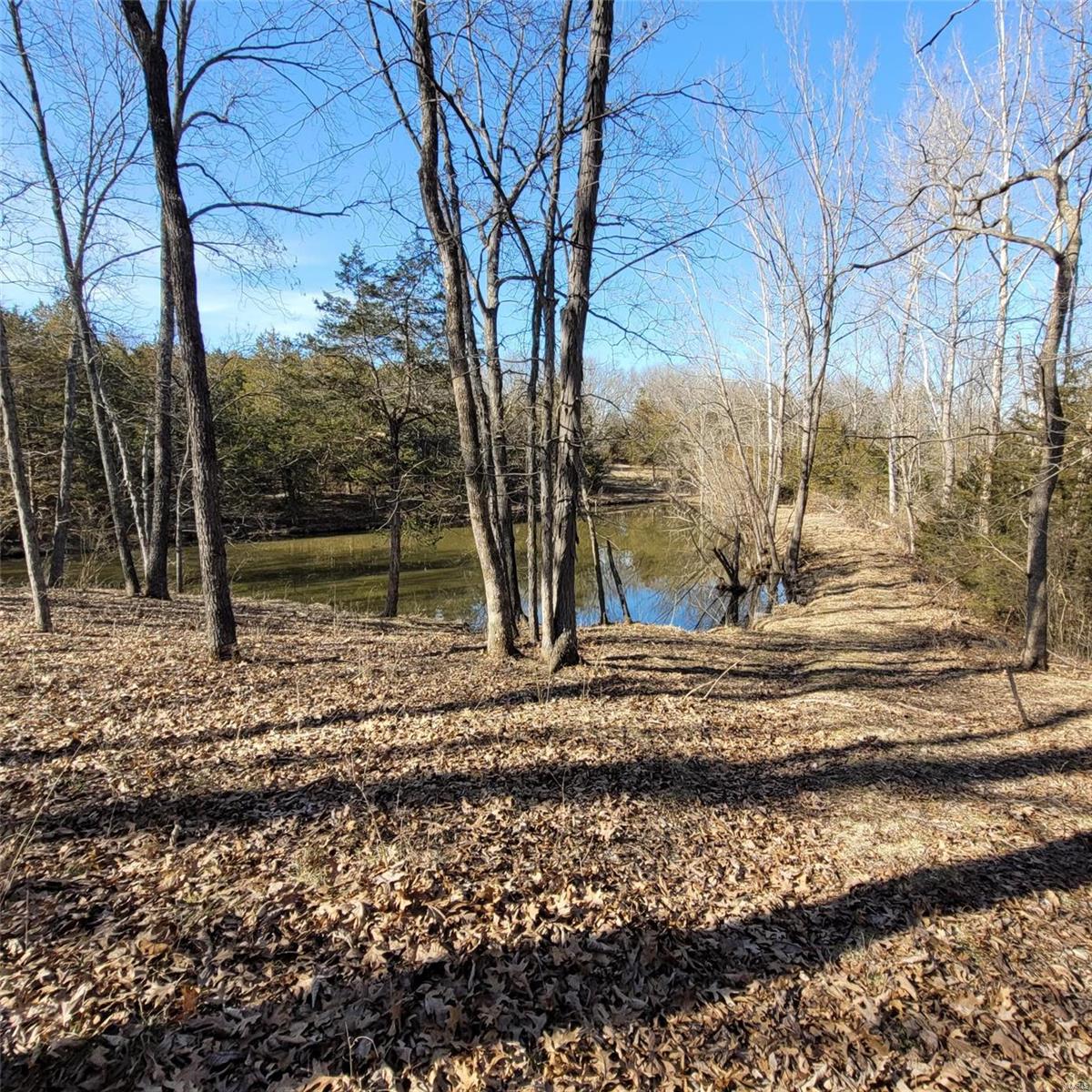 10 Shenandoah Lane Property Photo 11