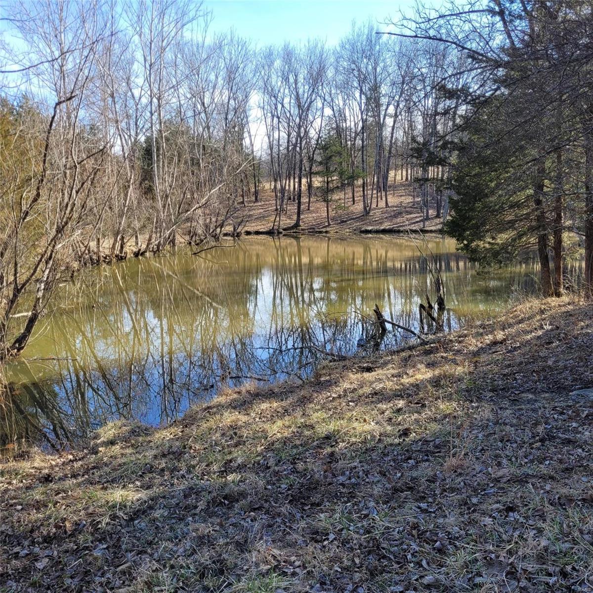 10 Shenandoah Lane Property Photo 13